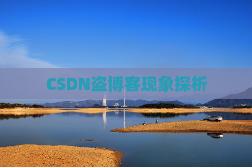 CSDN盗博客现象探析